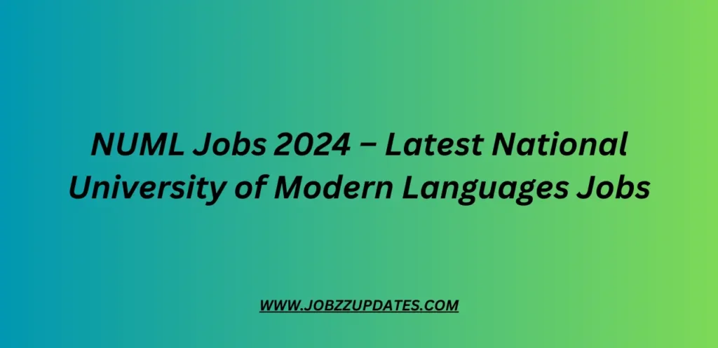 NUML Jobs 2024 – Latest National University of Modern Languages Jobs