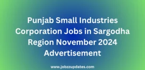 Punjab Small Industries Corporation Jobs in Sargodha Region November 2024 Advertisement